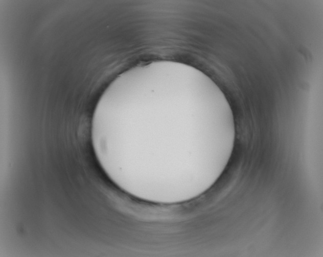 X0000113530036200910161359