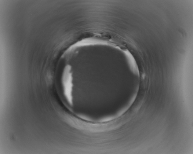 X0000113530039200910161359