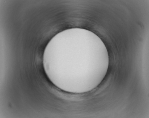 X0000113530040200910161359