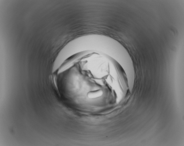 X0000113530041200910161359