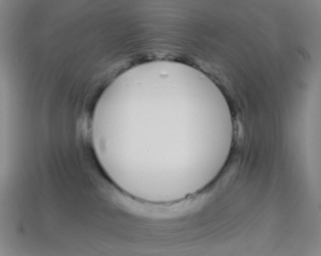 X0000113530042200910161359