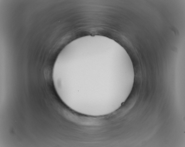 X0000113530044200910161359