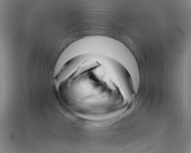 X0000113530045200910161359