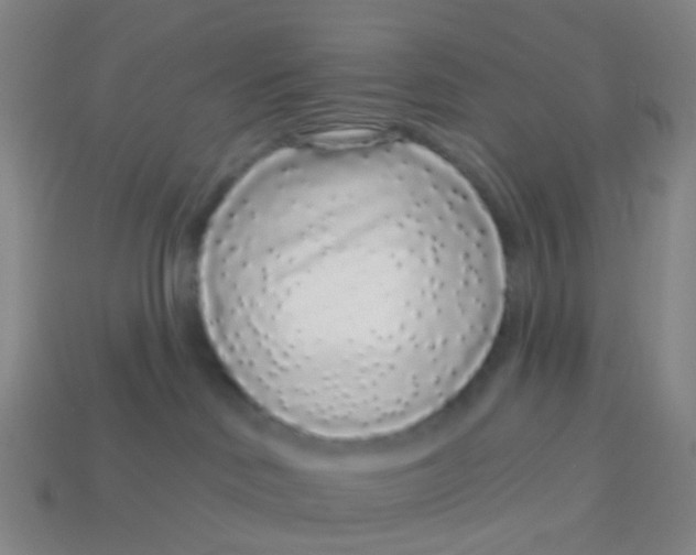 X0000113530046200910161359