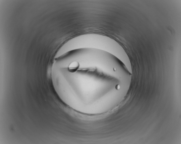 X0000113530047200910161359