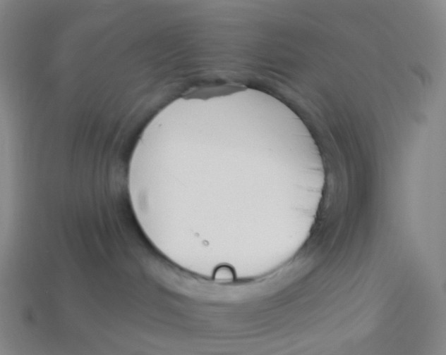 X0000113530048200910161359