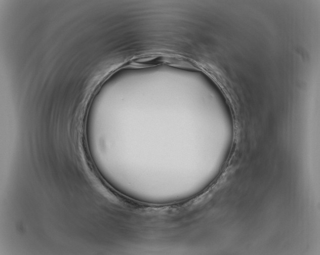 X0000113530049200910161358