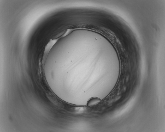 X0000113530050200910161358