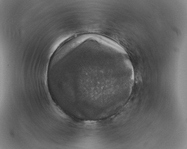 X0000113530052200910161358