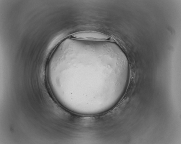 X0000113530053200910161358