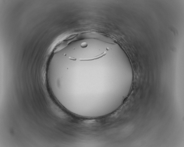 X0000113530054200910161358