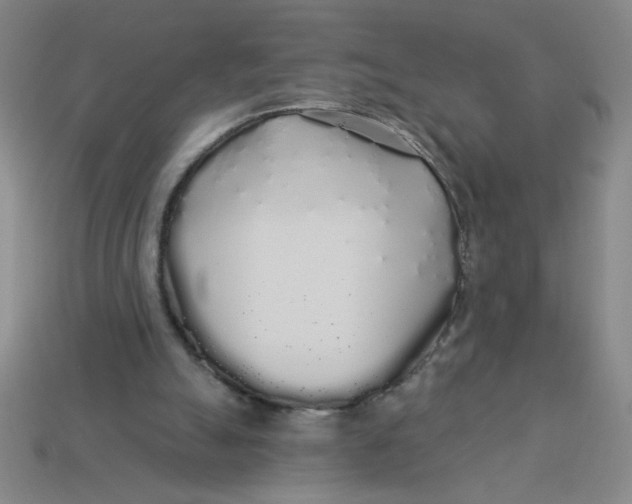 X0000113530055200910161358