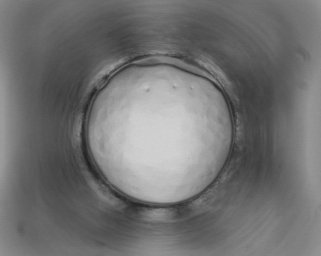 X0000113530058200910161358