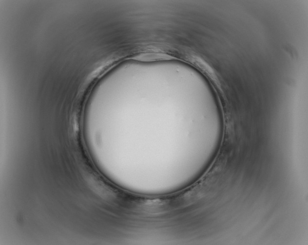 X0000113530059200910161358