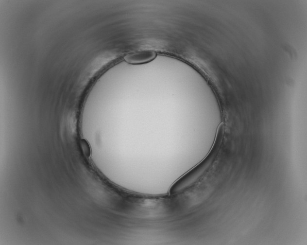 X0000113530060200910161358