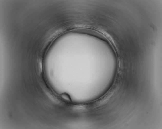 X0000113530061200910161358