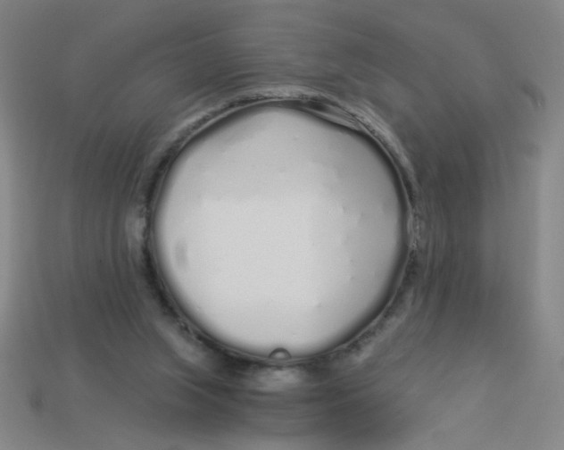 X0000113530063200910161358