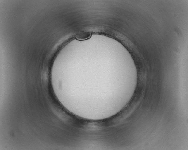 X0000113530064200910161358