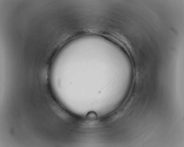 X0000113530065200910161358