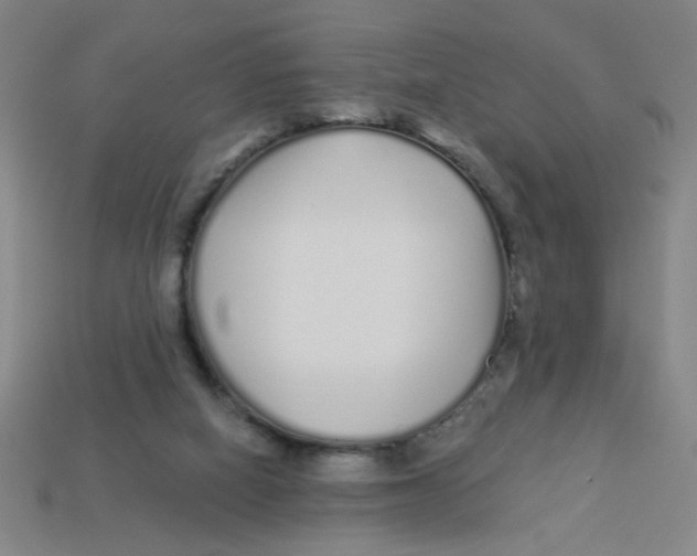 X0000113530066200910161358