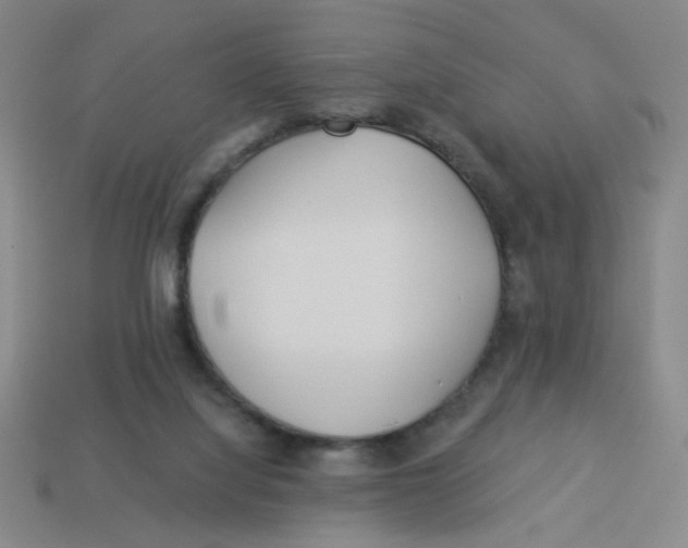 X0000113530068200910161358