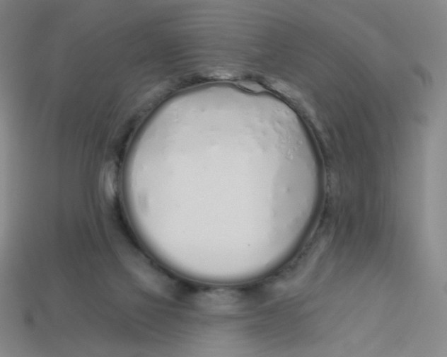 X0000113530069200910161358