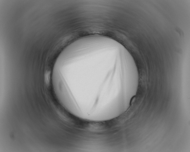 X0000113530070200910161358