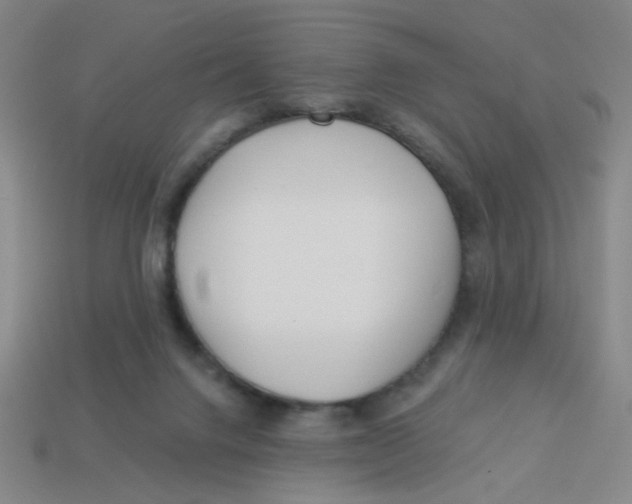 X0000113530072200910161358