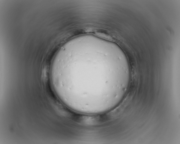 X0000113530074200910161359