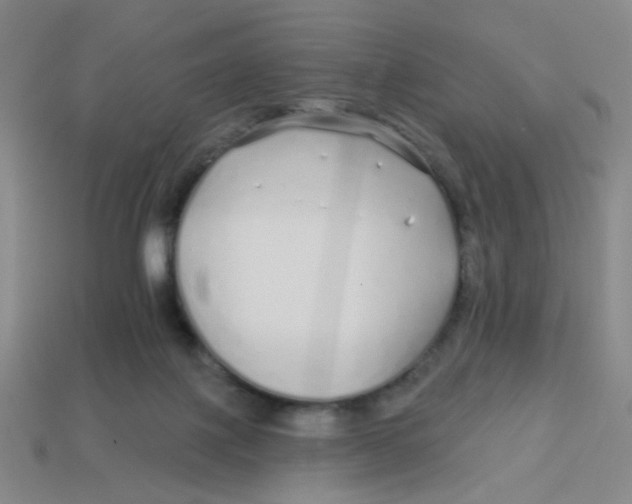 X0000113530075200910161359