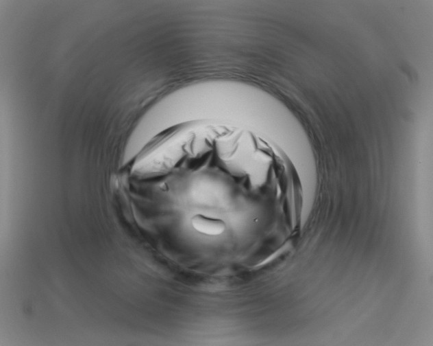 X0000113530076200910161359