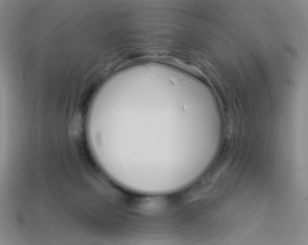 X0000113530077200910161359