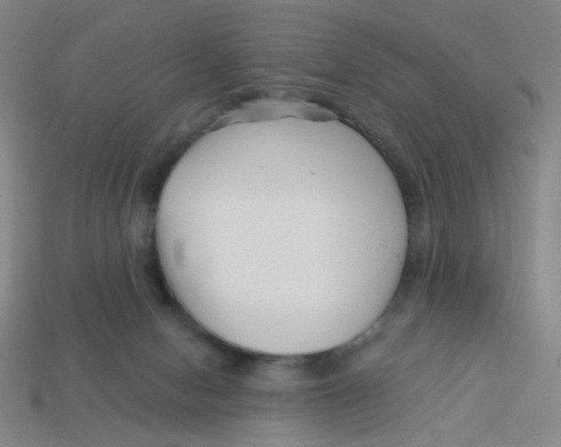 X0000113530078200910161359