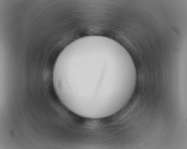 X0000113530079200910161359