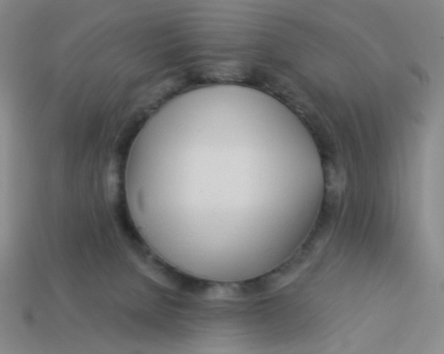 X0000113530080200910161359