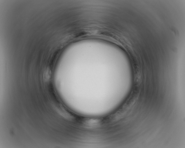 X0000113530081200910161359