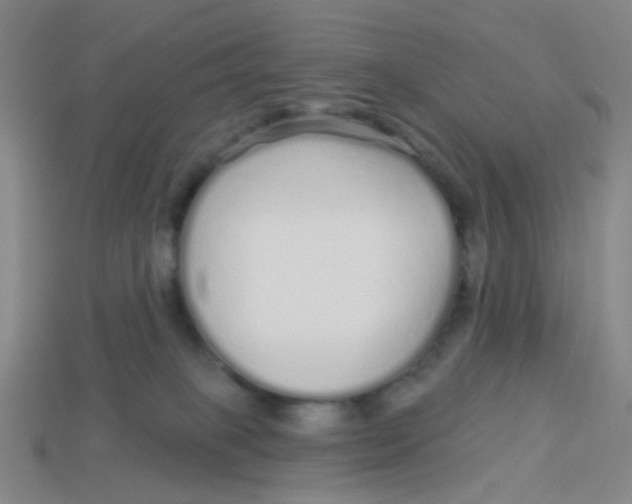 X0000113530085200910161359