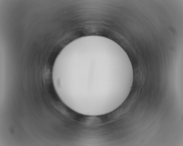 X0000113530087200910161359