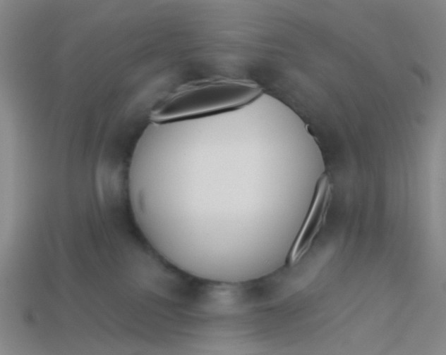 X0000113530088200910161359