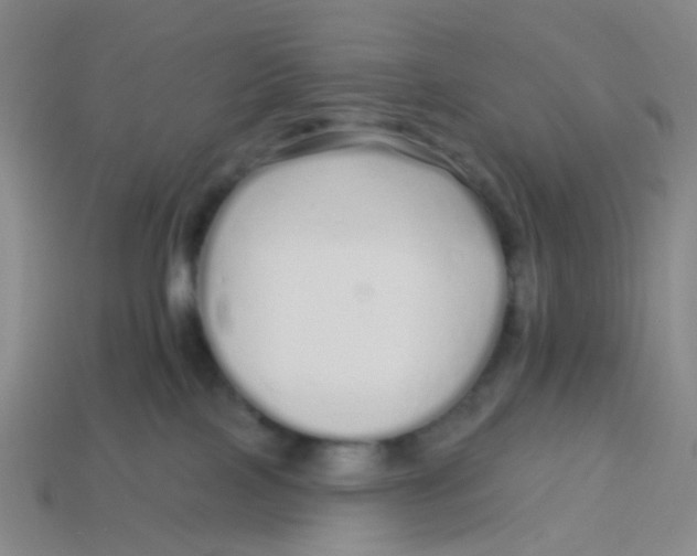 X0000113530089200910161359