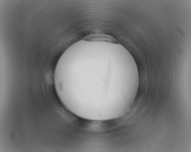 X0000113530090200910161359