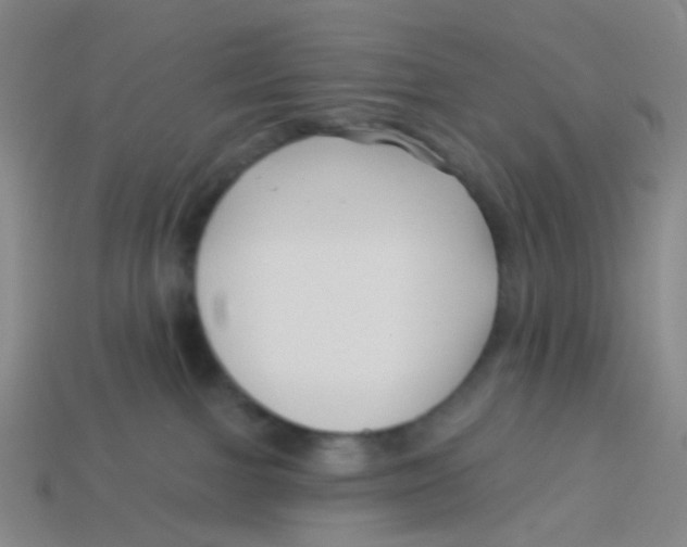 X0000113530091200910161359