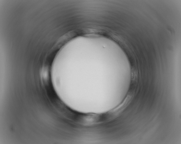 X0000113530094200910161359