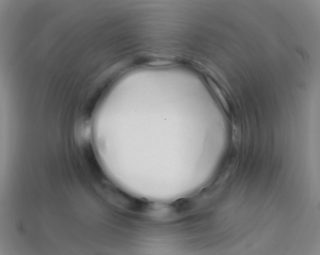 X0000113530095200910161359