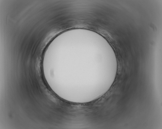 X0000113530098200910161358