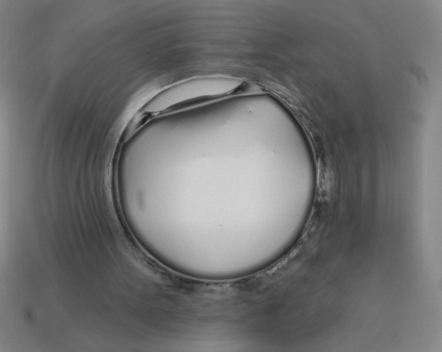 X0000113530099200910161358