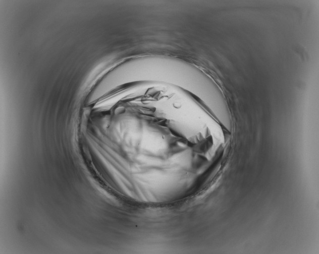 X0000113530101200910161358