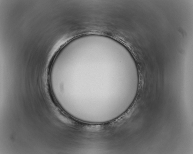 X0000113530102200910161358