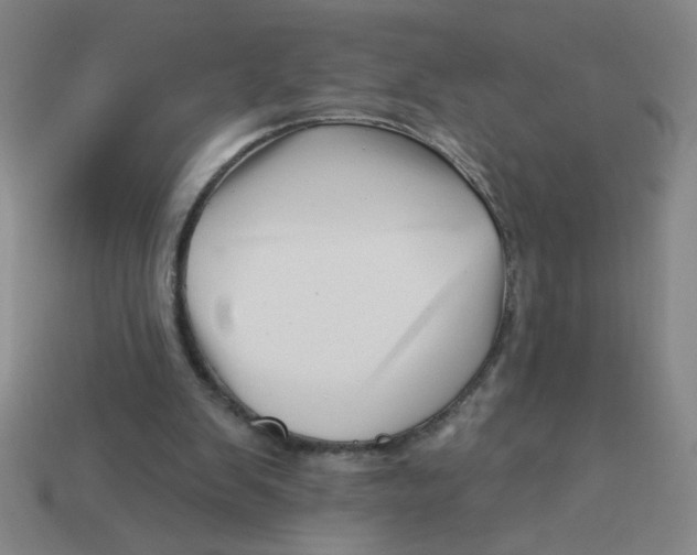 X0000113530103200910161358