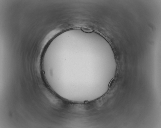 X0000113530104200910161358